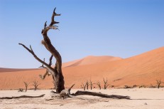 Dead Vlei, Namibia #2