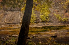 taughannock-state-park-4